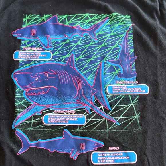 GAP Kids Black Cotton T-Shirt with Neon Shark Graphic - Picture 3 of 3